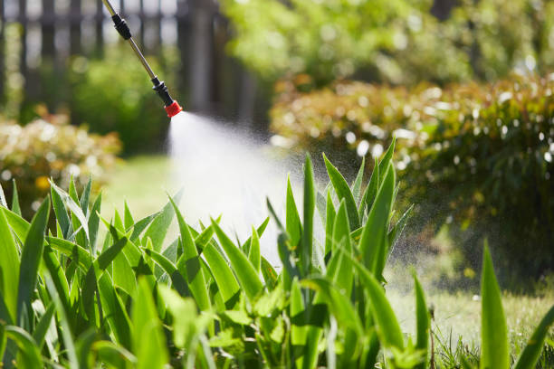 24/7 Emergency Mosquito Control experts in Lincoln Park, MI