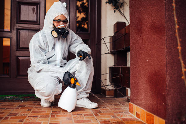 Reliable Mosquito Control contractor in Lincoln Park, MI by Show Me Pest Control