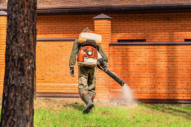 Top rated local Mosquito Control specialists in Lincoln Park, MI